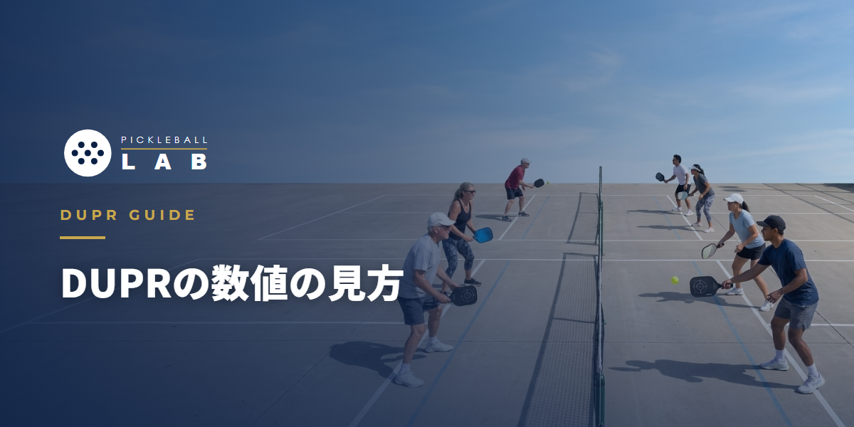 DUPRの数値の見方とレベル目安｜2.000〜8.000は何を意味するか