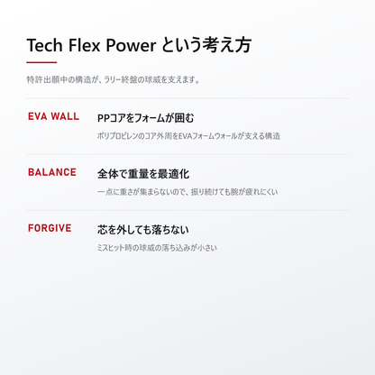JOOLA ヨーラ ペルセウス プロ IV ピックルボール パドル balance