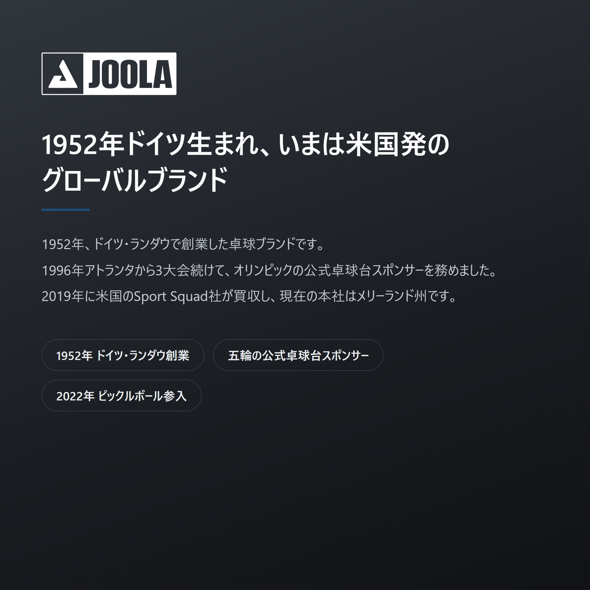 JOOLA ヨーラ エレメンタル ピックルボール ネット brand