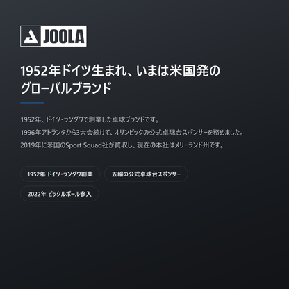 JOOLA ヨーラ エレメンタル ピックルボール ネット brand
