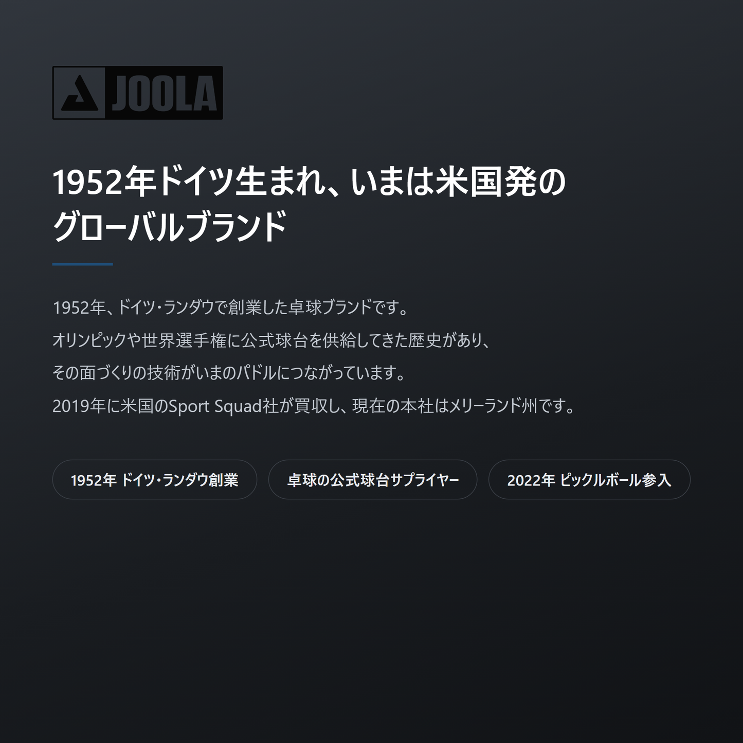 JOOLA ヨーラ エレメンタル ピックルボール ネット brand
