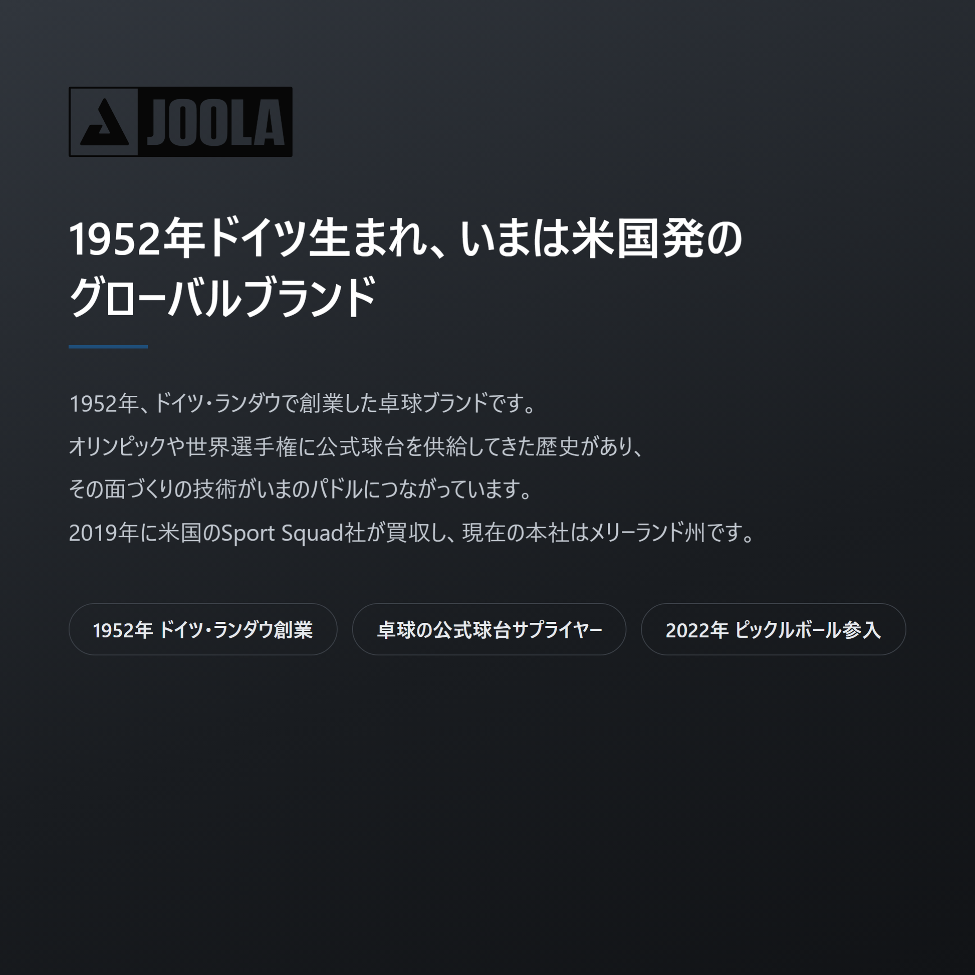 JOOLA ヨーラ エレメンタル ピックルボール ネット brand