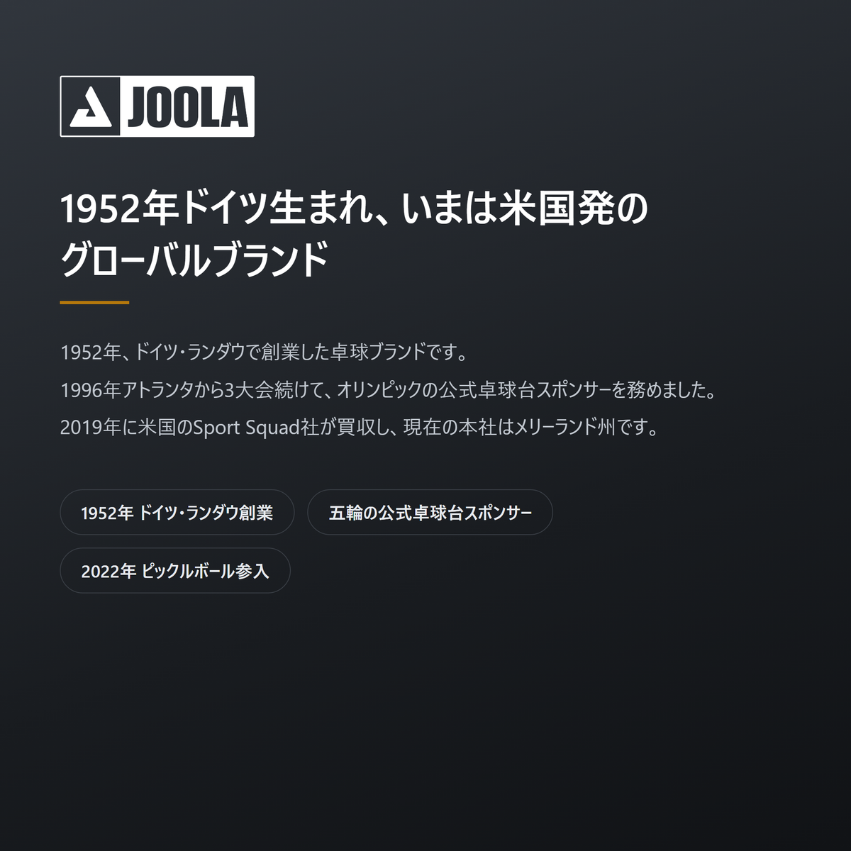 JOOLA ヨーラ HC-40 ピックルボール 3個入 brand