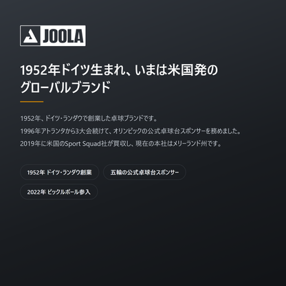 JOOLA ヨーラ HC-40 ピックルボール 3個入 brand