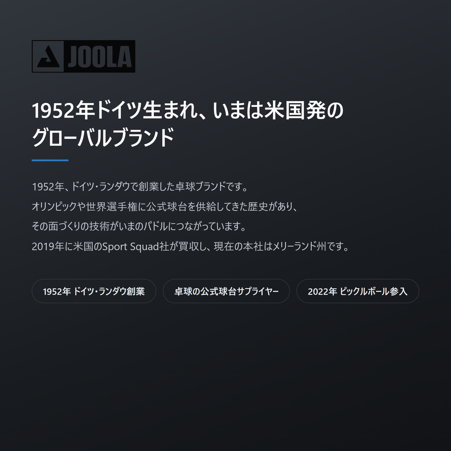 JOOLA ヨーラ ハイペリオン プロ IV 14mm ピックルボール パドル brand