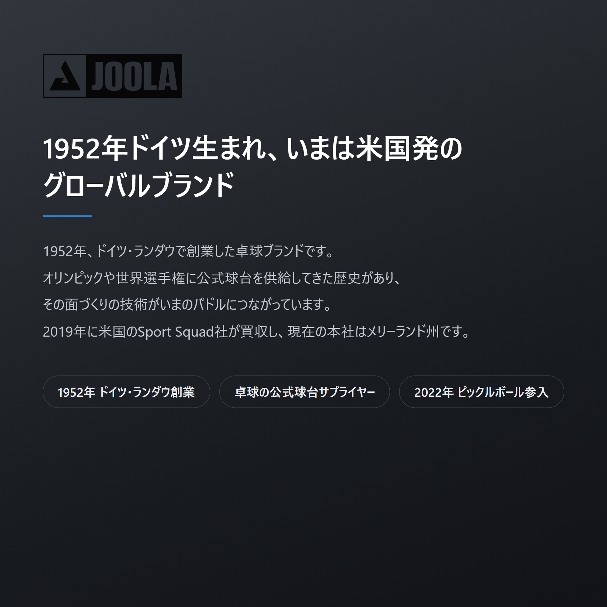 JOOLA ヨーラ ハイペリオン プロ IV 14mm ピックルボール パドル brand