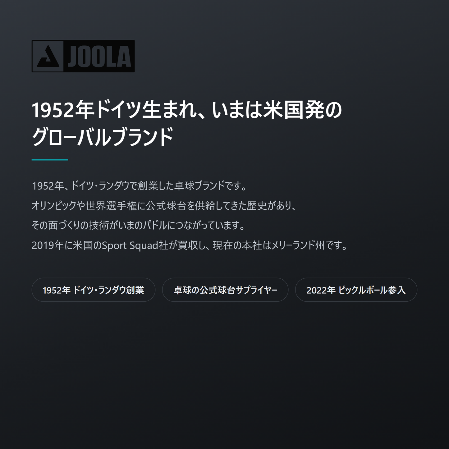 JOOLA ヨーラ ハイペリオン CFS 16mm ピックルボール パドル brand