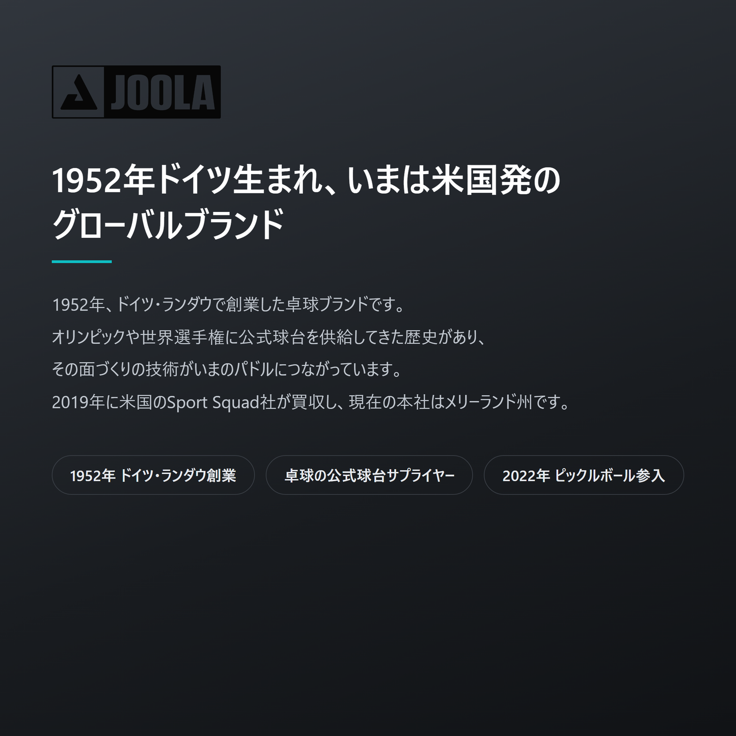 JOOLA ヨーラ ペルセウス 3S デュアル 16mm ピックルボール パドル brand