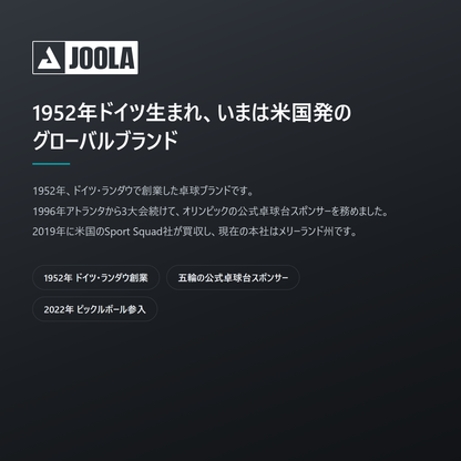 JOOLA ヨーラ ハイペリオン CFS 16mm ピックルボール パドル 07-brand