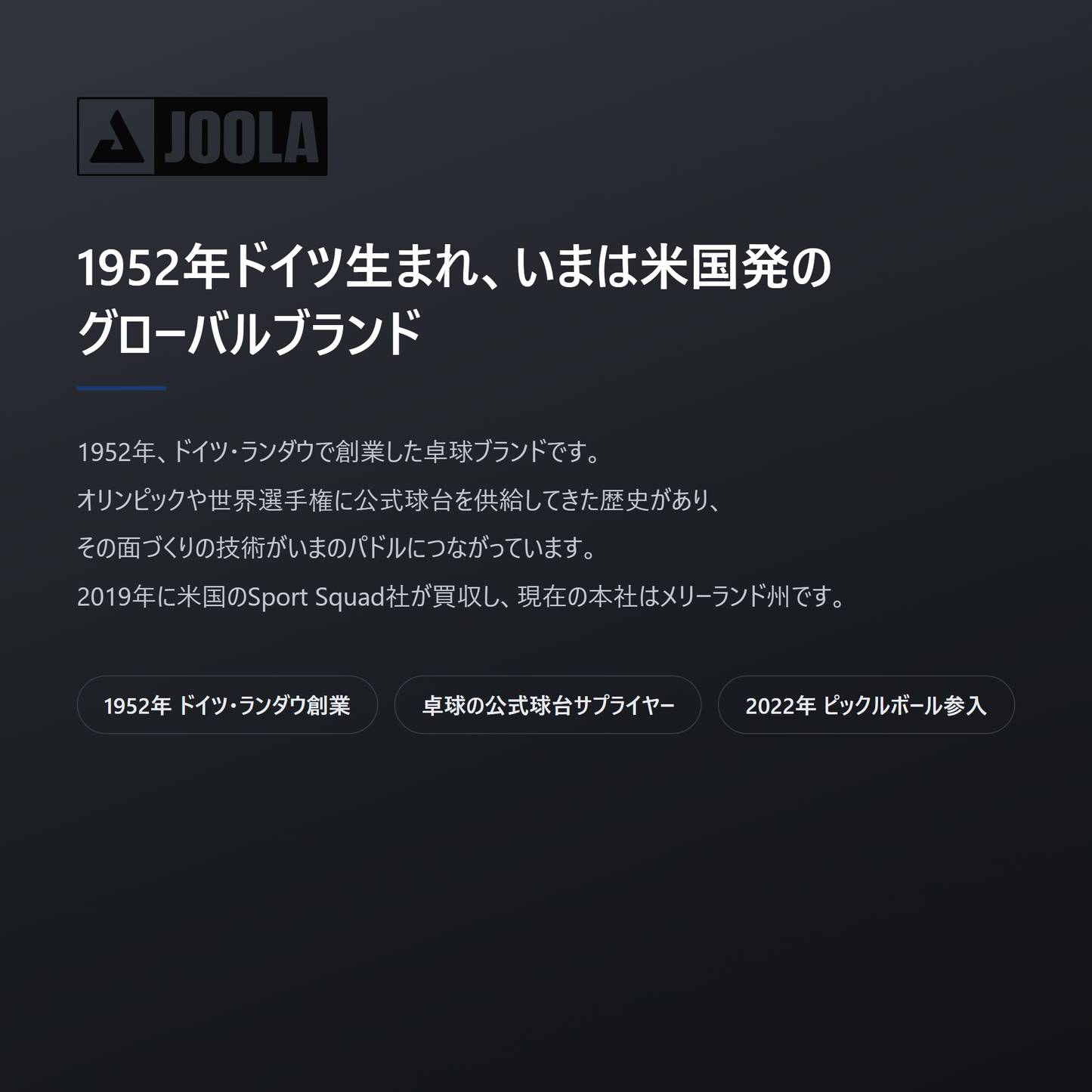 JOOLA ヨーラ ハイペリオン CAS ピックルボール パドル brand