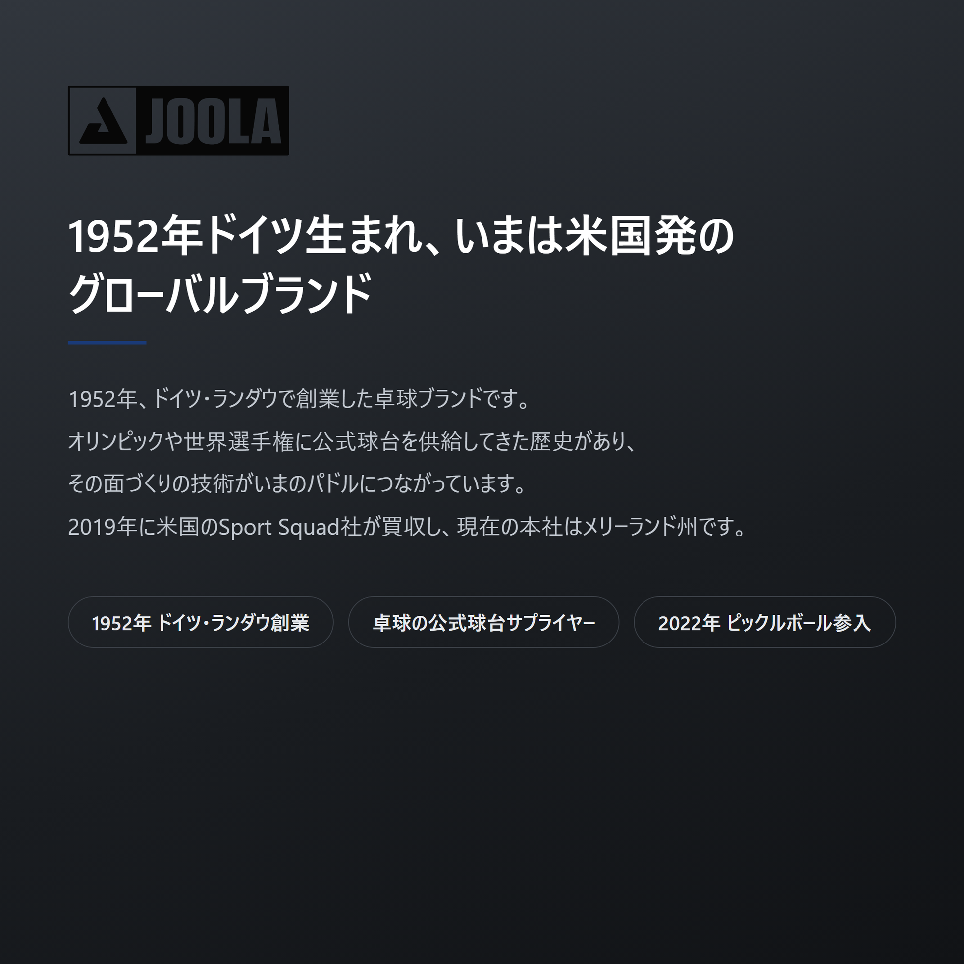 JOOLA ヨーラ ハイペリオン CAS ピックルボール パドル brand