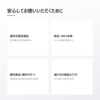 国内正規流通品・新品100%本物・国内発送・国内サポート