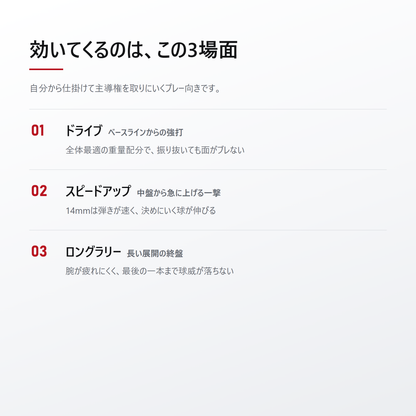JOOLA ヨーラ ペルセウス プロ IV ピックルボール パドル usage