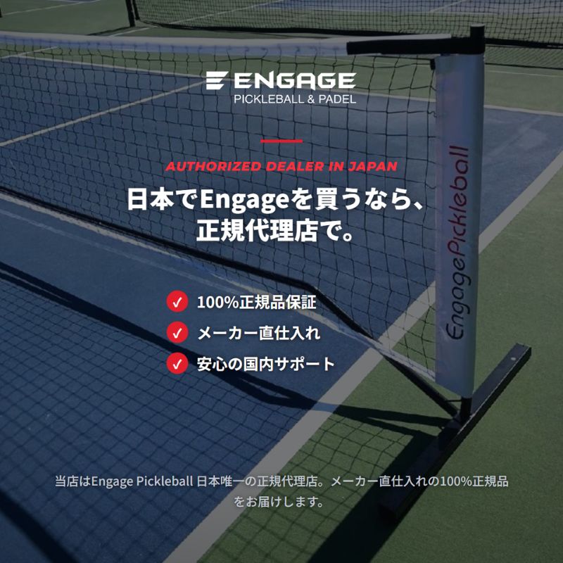 エンゲージ ポータブルネット Engage Portable Net System ピックルボール ネット 公式規格  持ち運び キャリーバッグ付 組立式