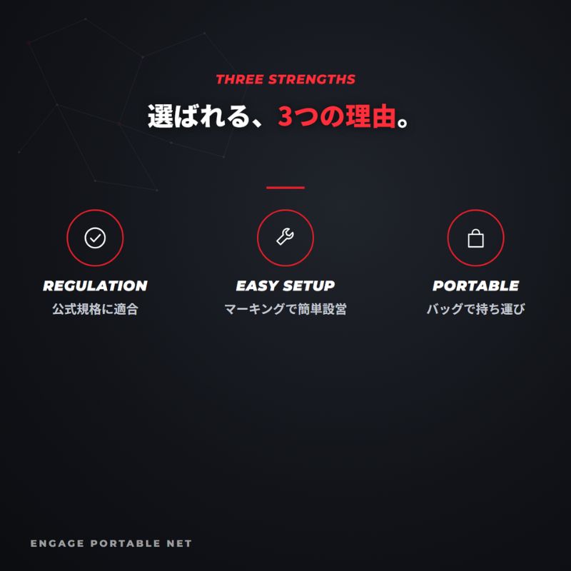 エンゲージ ポータブルネット Engage Portable Net System ピックルボール ネット 公式規格  持ち運び キャリーバッグ付 組立式