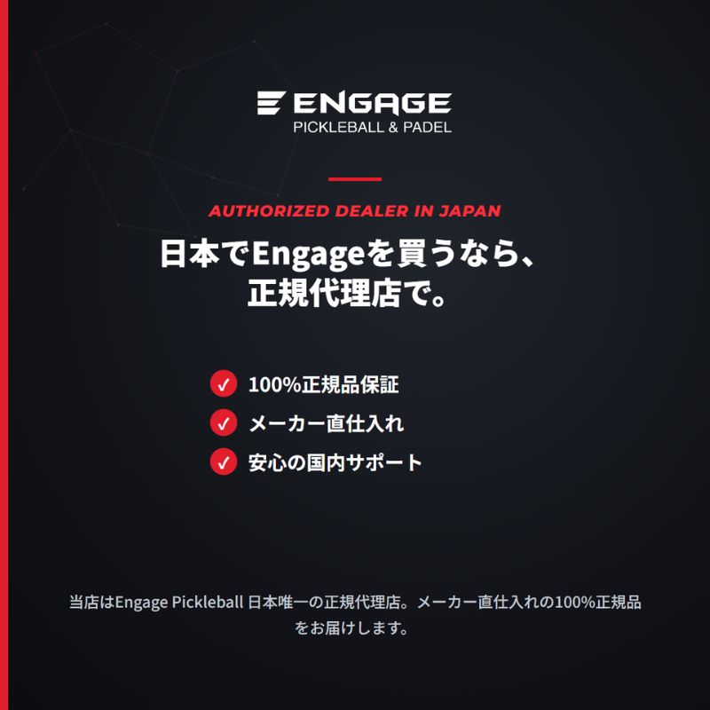 エンゲージ ハーフコートネット Engage Half Court Net 練習用 約10ft 軽量 工具不要 組立式 ミニネット キャリーバッグ付