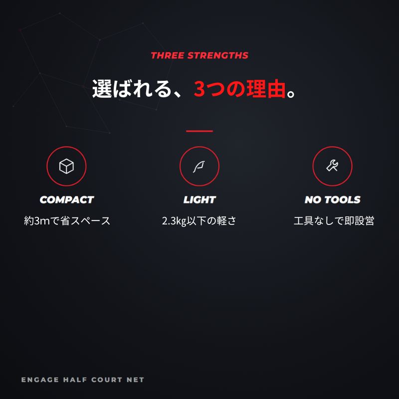 エンゲージ ハーフコートネット Engage Half Court Net 練習用 約10ft 軽量 工具不要 組立式 ミニネット キャリーバッグ付