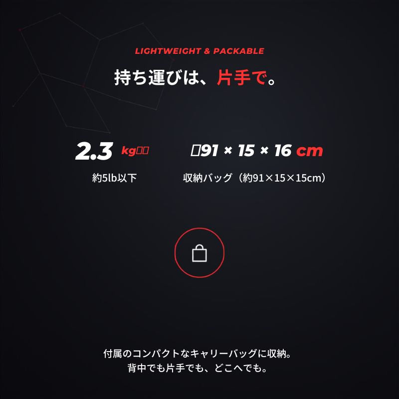 エンゲージ ハーフコートネット Engage Half Court Net 練習用 約10ft 軽量 工具不要 組立式 ミニネット キャリーバッグ付