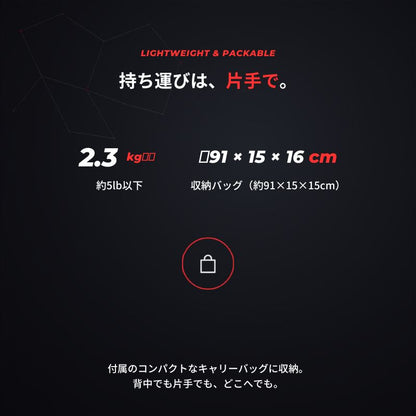 エンゲージ ハーフコートネット Engage Half Court Net 練習用 約10ft 軽量 工具不要 組立式 ミニネット キャリーバッグ付